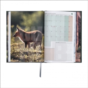 Terminarz Łowiecki Tebra 2026