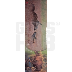 Zakładka Mazury Plan lekcji