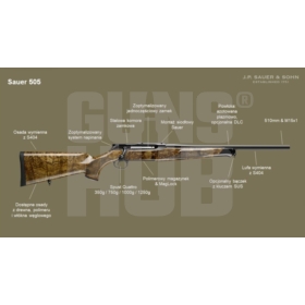 Sztucer Sauer 505 ErgoLux