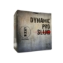 Nab. Kul. 12 Slug Pionki Dynamic PRO 28g /70