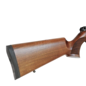 Sztucer AE Precision HS Hunter