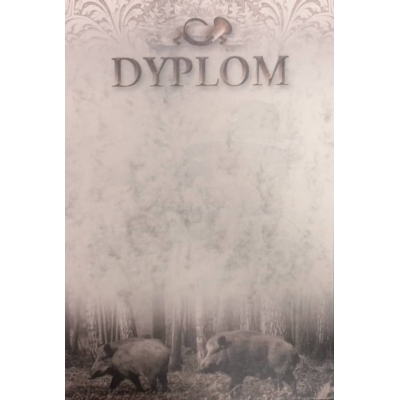 Dyplomy Mazury