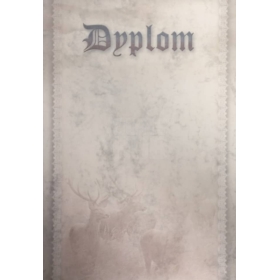 Dyplomy Mazury