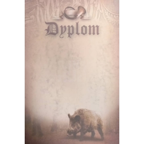 Dyplomy Mazury
