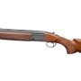 Bok Rizzini BR110 Sporter